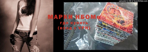 стаф Аркадак