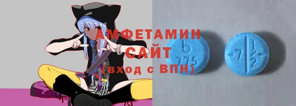 стаф Аркадак