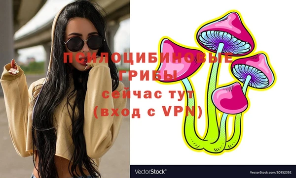 стаф Аркадак