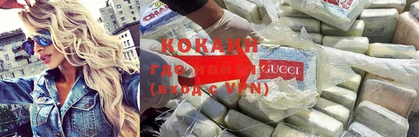 стаф Аркадак