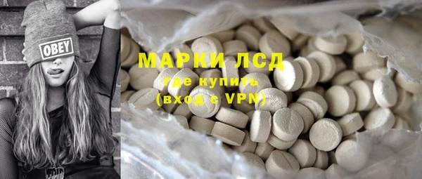 стаф Аркадак