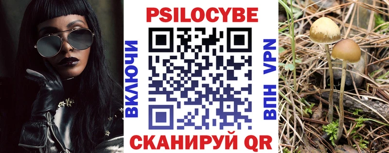 Галлюциногенные грибы мухоморы  Суворов 